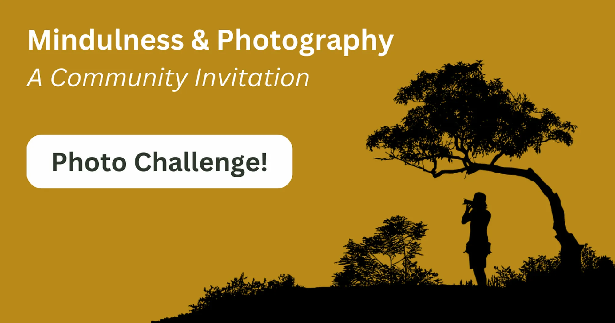 Mindfulness Photo Challenge by Gary Sharlow